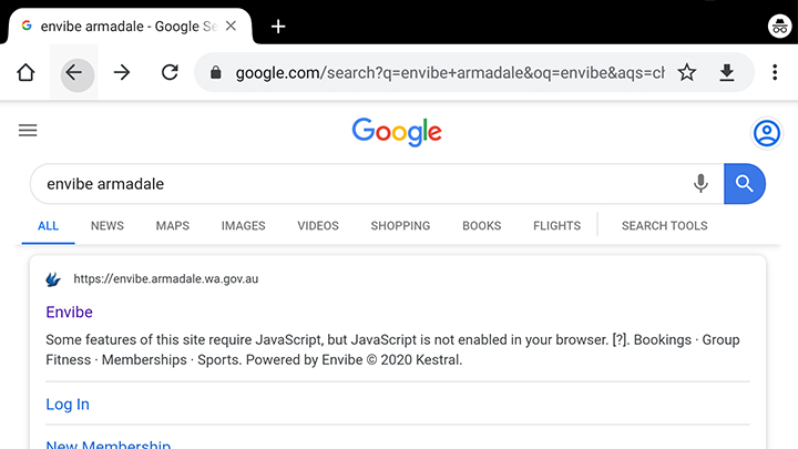 Search envibe using Internet browser